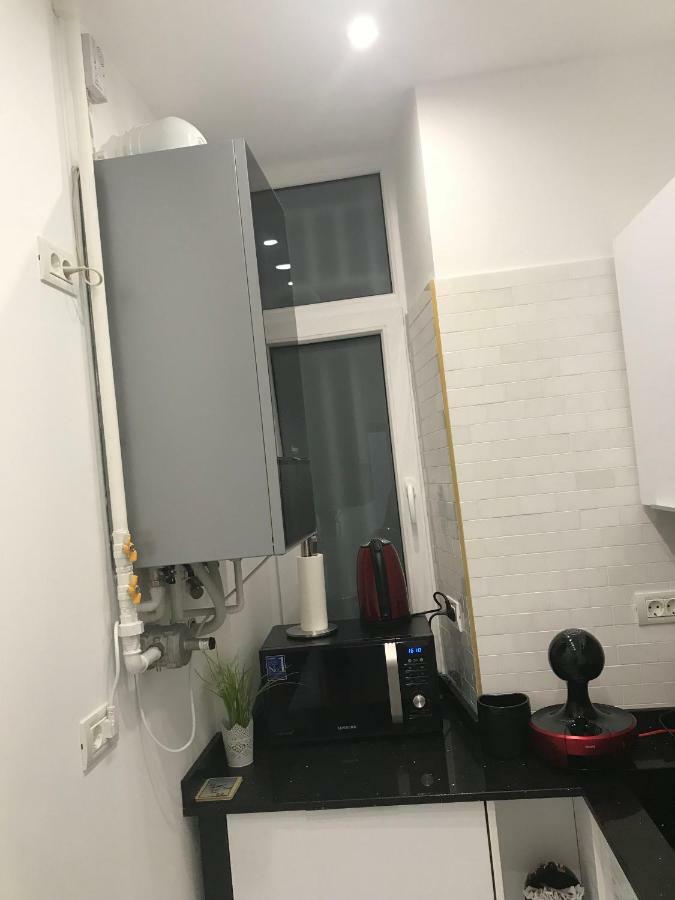 Victoria Luxury Apartment Бухарест Екстер'єр фото